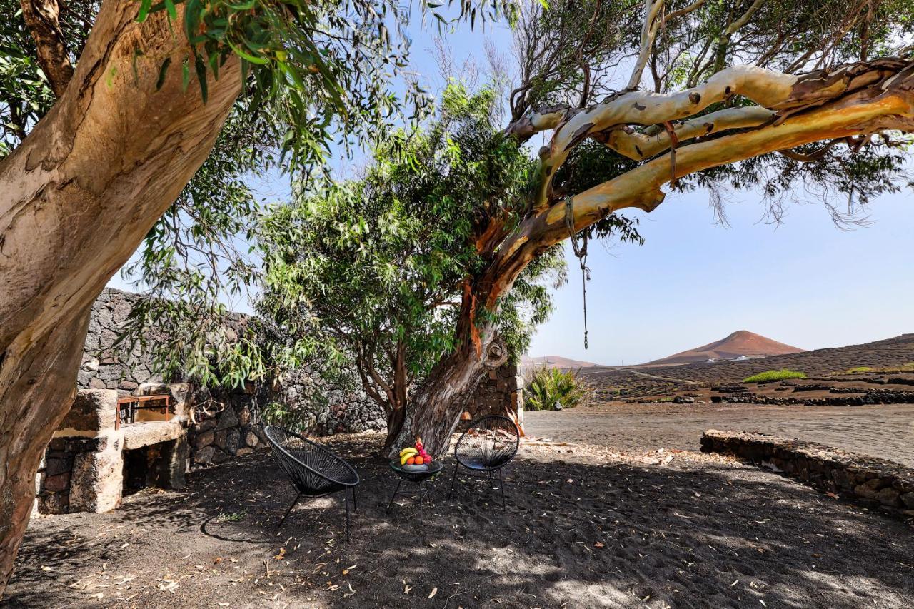 הוילה Tías Petit La Geria Lanzarote מראה חיצוני תמונה